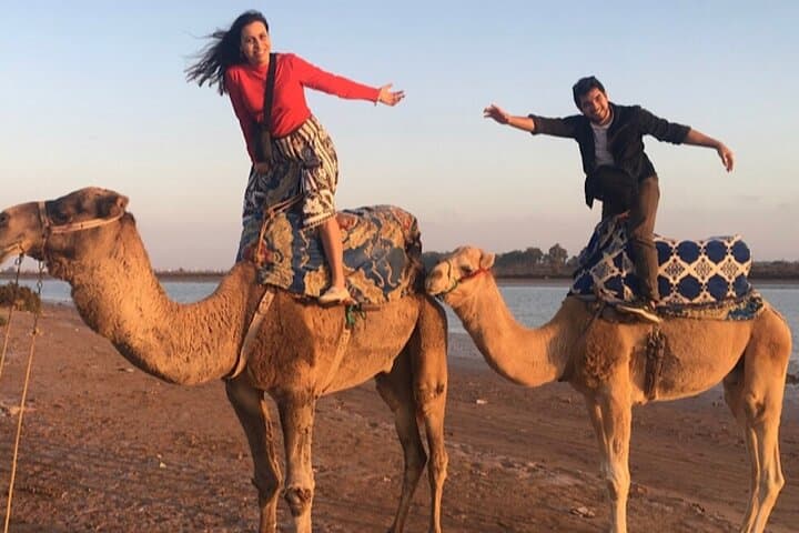 Sunset Camel Ride on the Souss River: Agadir Camel Trek with Mint Tea & Moroccan Cakes photo 3