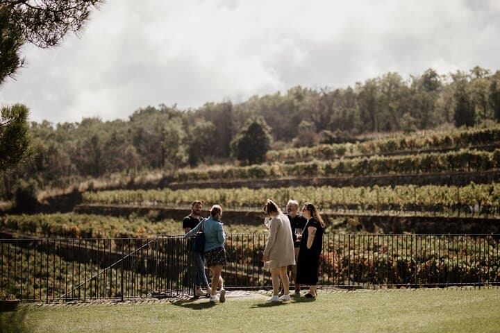 Mount Etna 4x4 Excursion and Winery Lunch from Catania photo 5