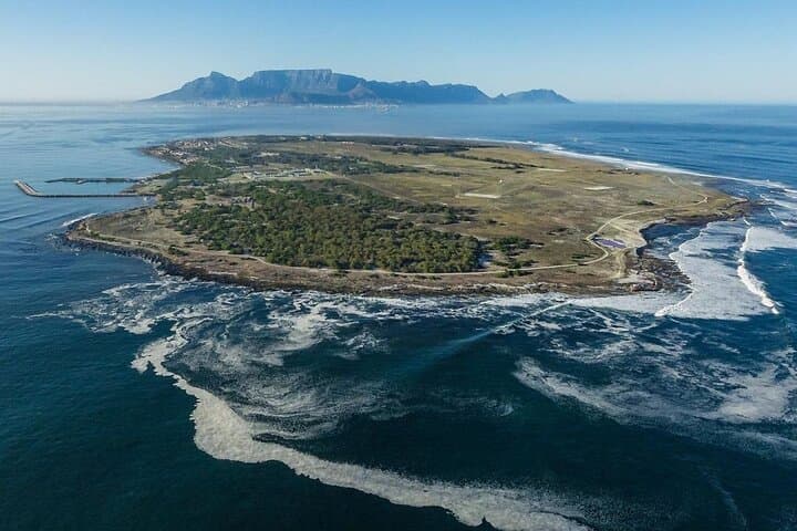 Robben Island Half-Day Ferry Tour: History, Wildlife & Practical Tips photo 5