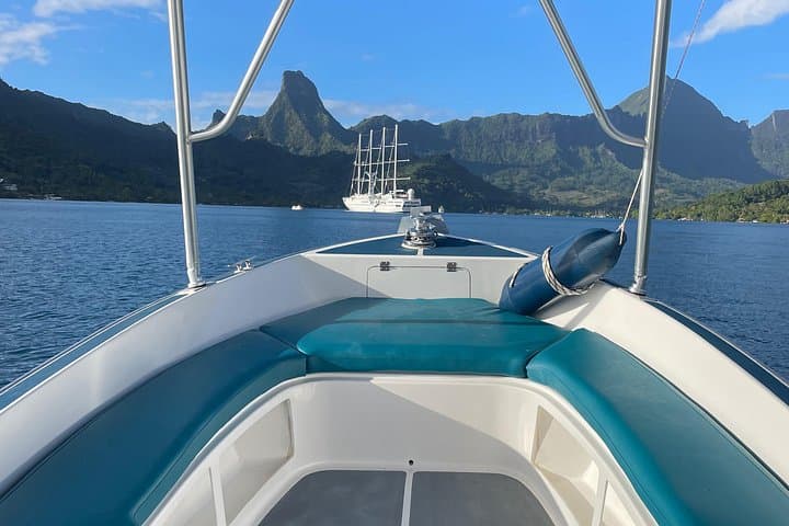Moorea Private Snorkeling Tour with Certified Guide — Marine Reserve Cruise photo 2