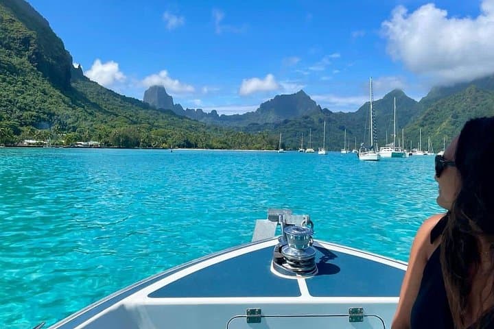 Moorea Private Snorkeling Tour with Certified Guide — Marine Reserve Cruise photo 3