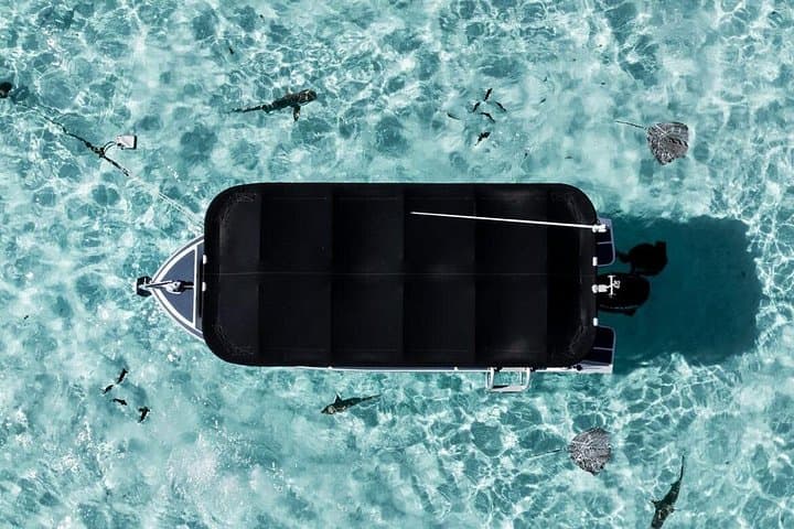 Moorea Private Snorkeling Tour with Certified Guide — Marine Reserve Cruise photo 5