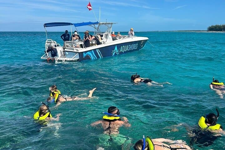 Nassau Snorkeling, Turtle Spotting & Sunset Cruise: Reef, Turtles and Golden Hour photo 6