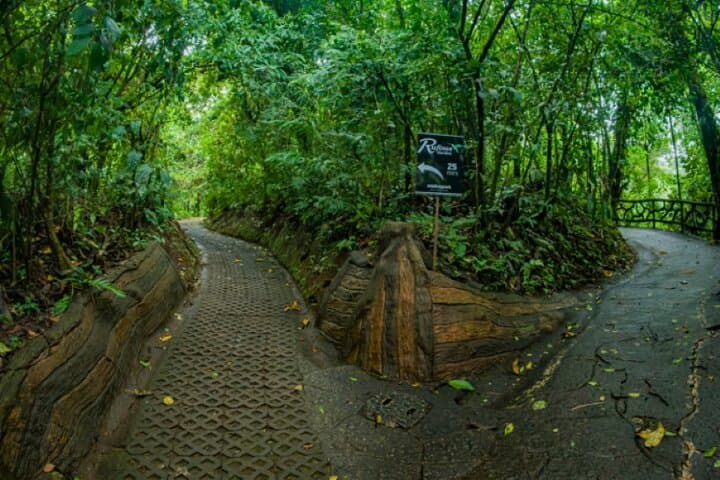 Arenal Hanging Bridges Self-Guided Walk: Rainforest Canopy & Waterfall Views photo 2