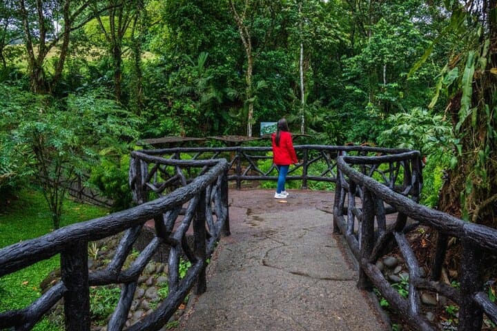 Arenal Hanging Bridges Self-Guided Walk: Rainforest Canopy & Waterfall Views photo 3