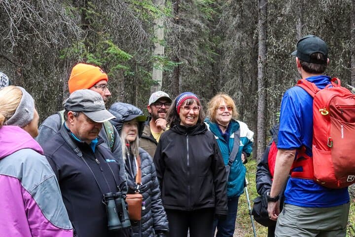 Denali Nature Hike: Taiga Walks and Tundra Views Near Denali National Park