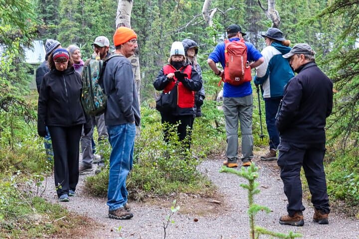 Denali Nature Hike: Taiga Walks and Tundra Views Near Denali National Park photo 2