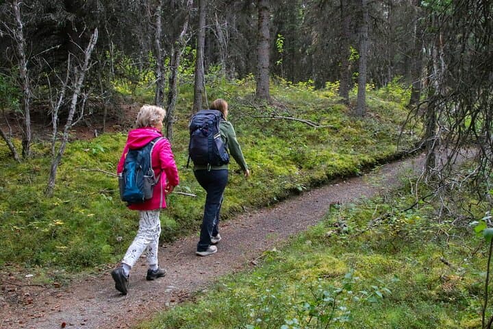 Denali Nature Hike: Taiga Walks and Tundra Views Near Denali National Park photo 3