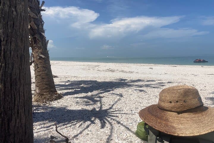 Private Boat Charters Saint James: Snorkel, Shell & Island Hopping in Southwest Florida