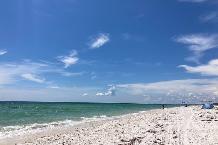 Private Boat Charters Saint James: Snorkel, Shell & Island Hopping in Southwest Florida photo 3
