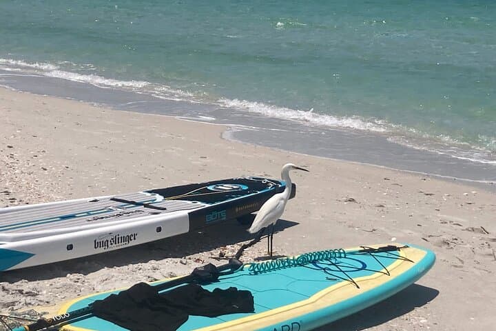 Private Boat Charters Saint James: Snorkel, Shell & Island Hopping in Southwest Florida photo 4