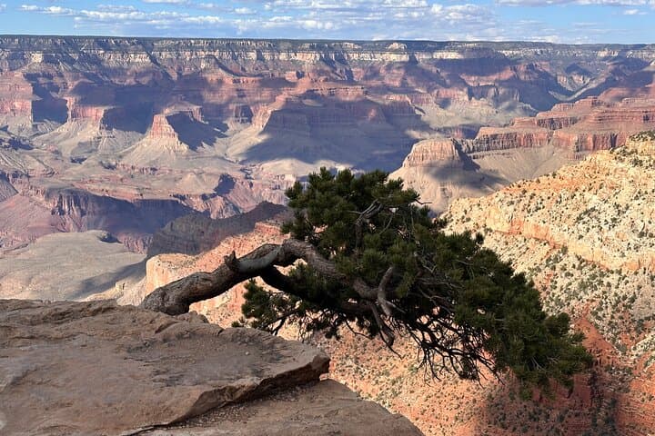 Explore the Grand Canyon in Style: A Luxury Private SUV Tour of the South Rim