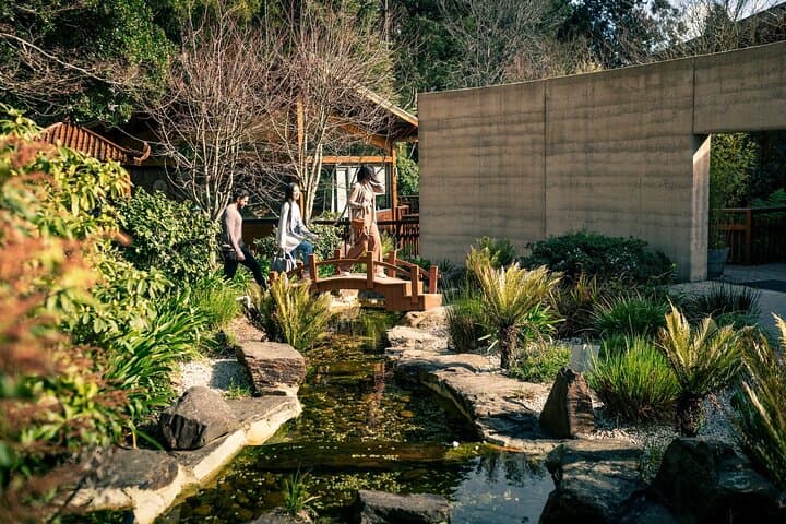Ride Puffing Billy Through the Dandenong Ranges: A Private Day Tour from Melbourne photo 3