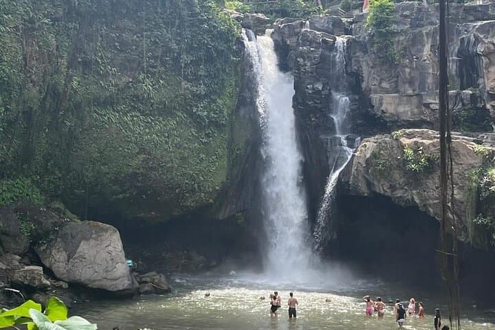 Ubud Day Tour: Monkey Forest, Tegalalang Rice Terrace & Tirta Empul photo 2