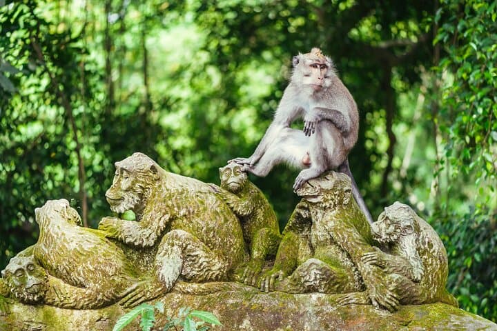 Ubud Day Tour: Monkey Forest, Tegalalang Rice Terrace & Tirta Empul photo 4