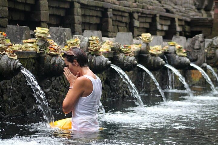 Ubud Day Tour: Monkey Forest, Tegalalang Rice Terrace & Tirta Empul photo 5
