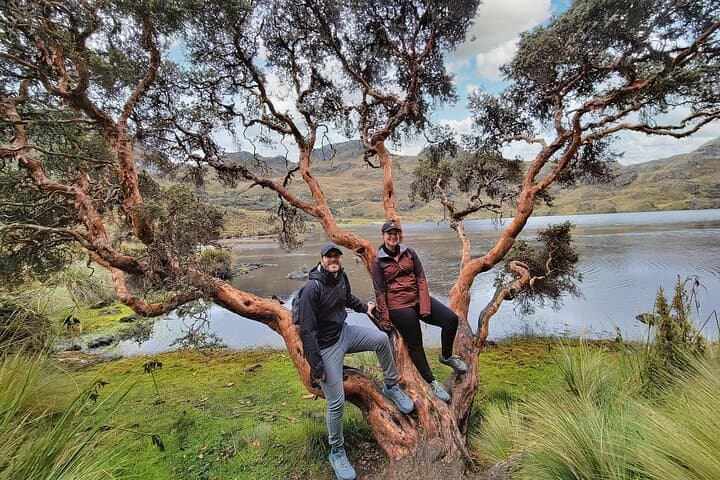 Cajas Challenge Trail: 16km Grasslands to Cloud Forest Hike from Cuenca photo 4