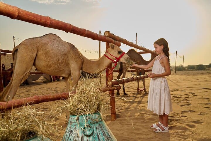 VIP Dubai Desert Dinner: Dune Bashing, Live Shows & 4-Course Feast photo 6