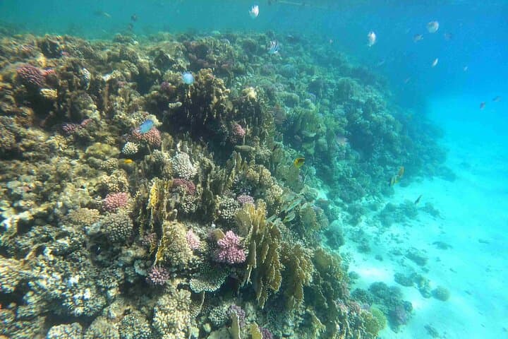 Hurghada Extreme 7-in-1 Day Trip: Semi-Submarine, Snorkel, Parasail & Desert Safari photo 2
