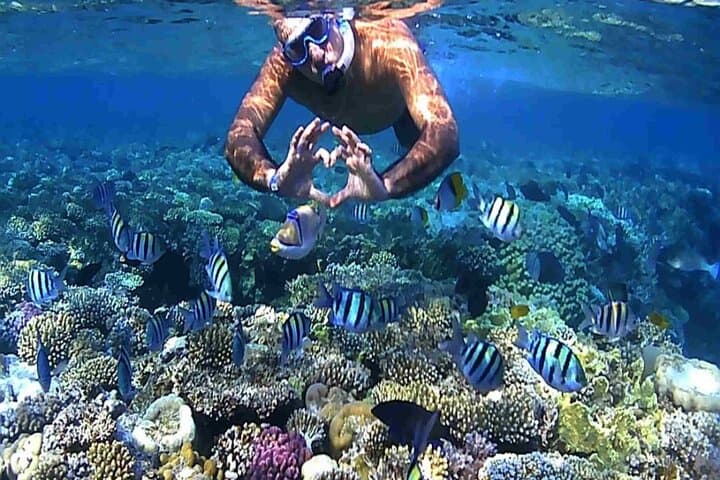 Hurghada Extreme 7-in-1 Day Trip: Semi-Submarine, Snorkel, Parasail & Desert Safari photo 6
