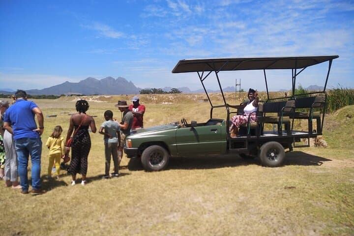 Winelands Explorer: Full-Day Safari Game Drive and Franschhoek Wine Tram photo 3