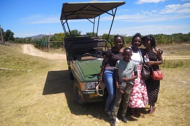 Winelands Explorer: Full-Day Safari Game Drive and Franschhoek Wine Tram photo 4