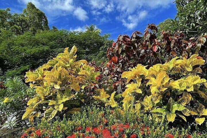 Wingfield Rainforest Hike and Caribelle Batik Cultural Tour, St Kitts photo 2