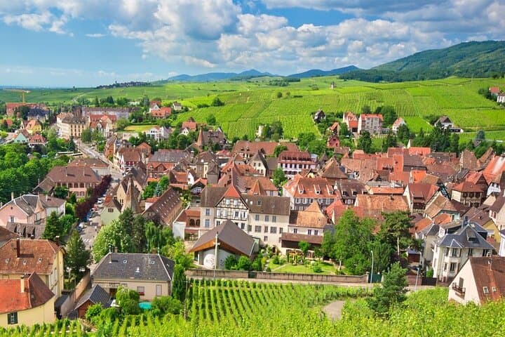 Cross‑Border Wine Day: Kaiserstuhl to Alsace Private Tour from Strasbourg
