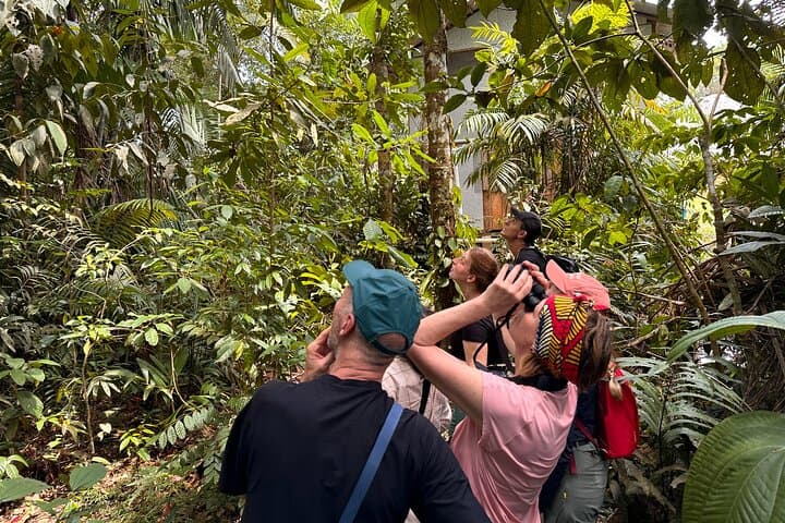 4-Day Amazon Jungle Adventure from Quito — Napo River Lodge & Kichwa Encounters photo 3