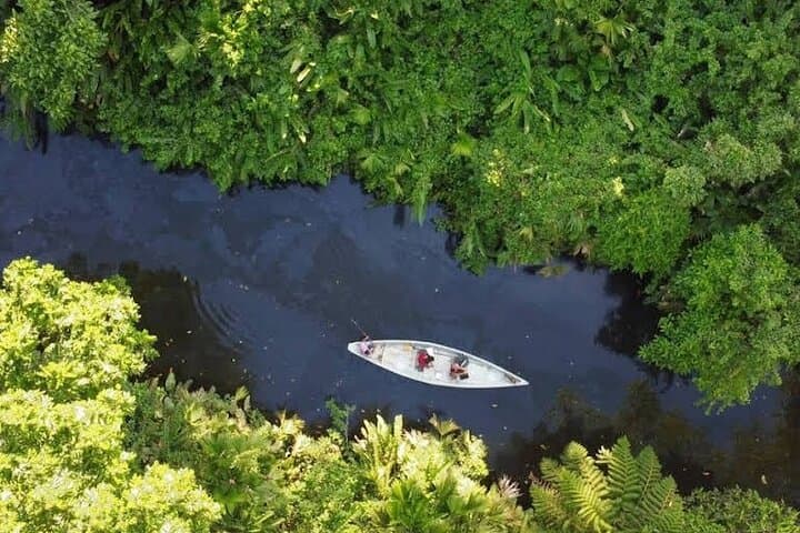 Amazon Wellness Retreat near Tena: 2-Day Jungle Spa & Healing Baths photo 6