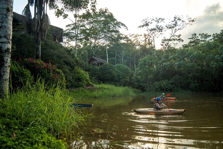 Amazon Wellness Retreat near Tena: 2-Day Jungle Spa & Healing Baths photo 5