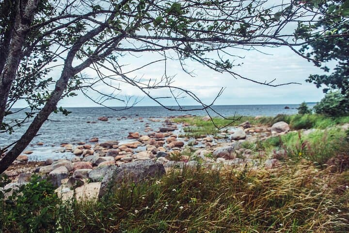 11-Day Baltic Capitals and Nature Loop — Riga to Tallinn to Vilnius photo 4