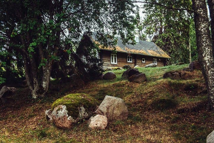 11-Day Baltic Capitals and Nature Loop — Riga to Tallinn to Vilnius photo 5