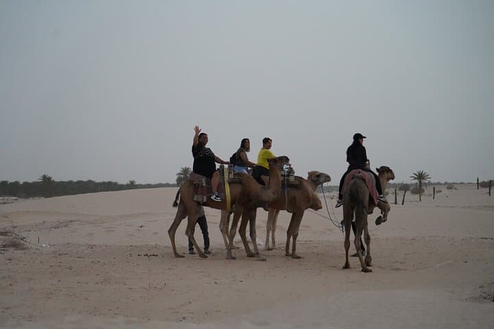 Two-Day Private Desert Circuit: Douz, Chott el-Jérid & Tozeur Oasis photo 6