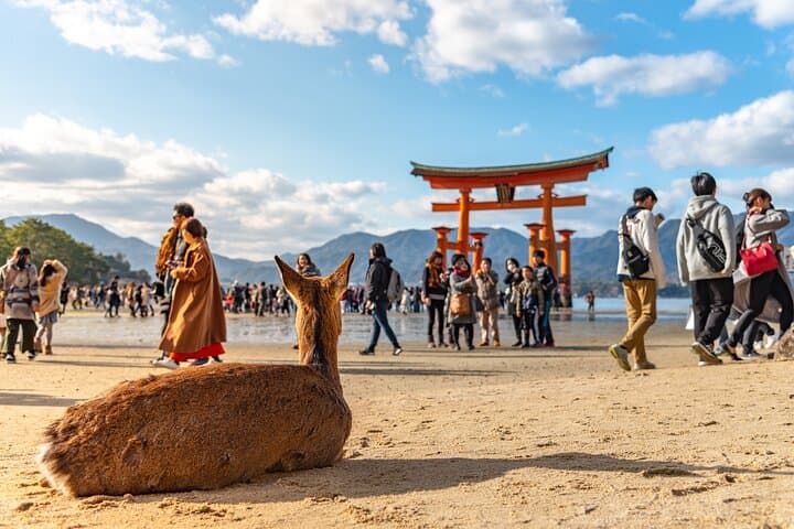 Bullet Train to Miyajima & Hiroshima: Full-Day Cultural Tour from Kyoto photo 2