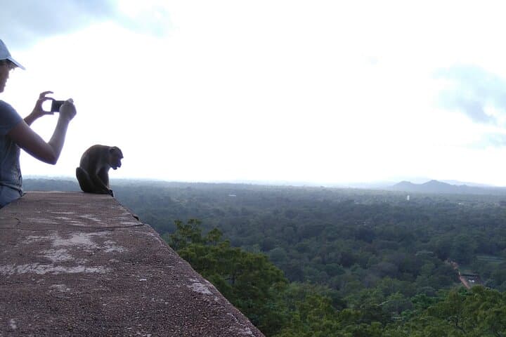 Day Trip from Kandy: Dambulla, Sigiriya & Minneriya Safari photo 6