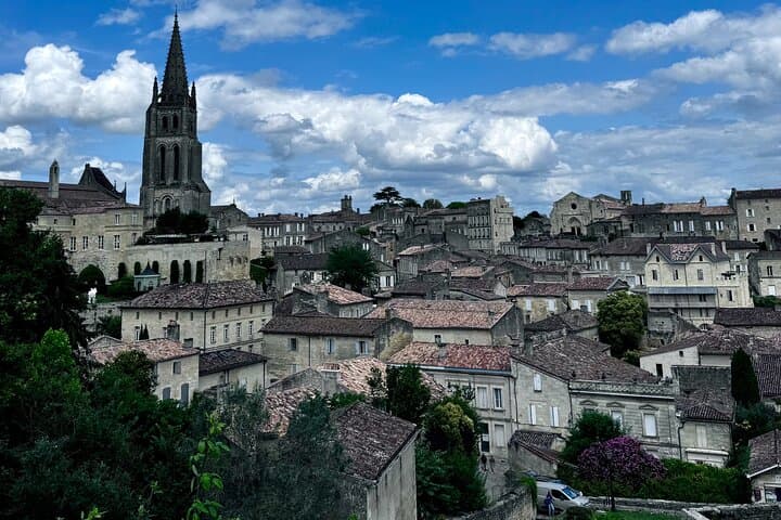 Saint-Émilion & Médoc Full-Day Wine Tour with WSET Guide — Tastings, Châteaux, and Vineyard Walks photo 3