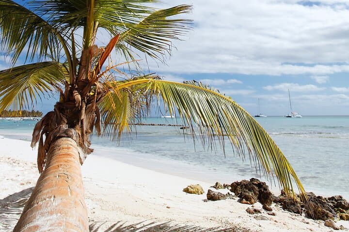 Saona Island Catamaran Escape: Day Trip from Bayahibe with Natural Pool & Lunch photo 6