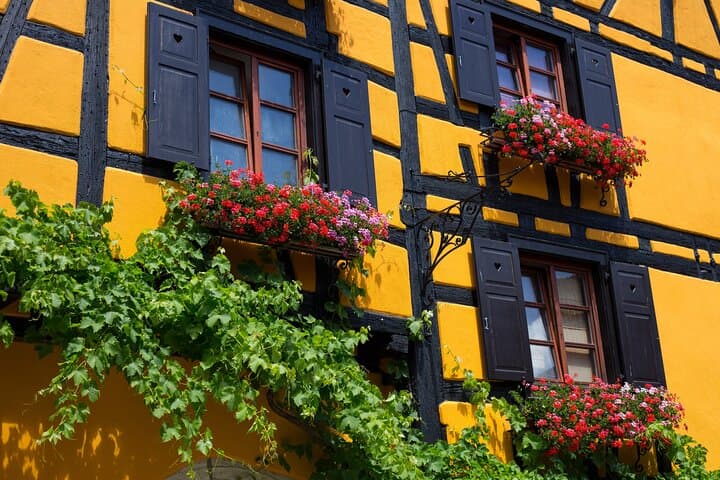 Cross‑Border Wine Day: Kaiserstuhl to Alsace Private Tour from Strasbourg photo 4