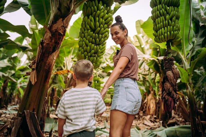4-Day All-Inclusive Amazon Jungle Tour from Iquitos to Maniti Eco Lodge photo 3