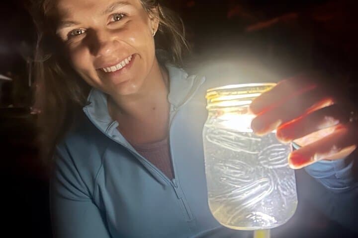Sunset Kayak Tour at Haulover Canal: Manatees, Dolphins & Bioluminescent Comb Jellies