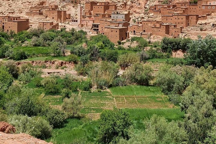 Ouarzazate One-Day Trip from Marrakech: Ait Ben Haddou & Tizi n'Tichka Pass photo 4