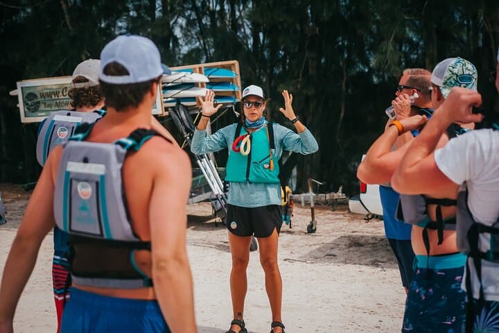 Sunset Kayak Tour at Haulover Canal: Manatees, Dolphins & Bioluminescent Comb Jellies photo 5