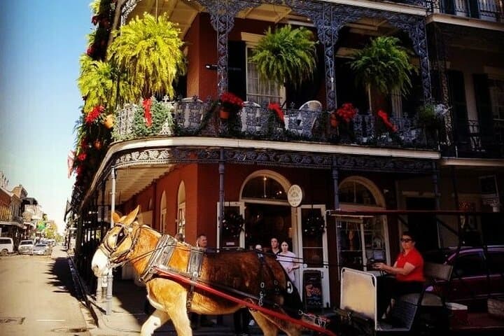 French Quarter Walking Tour: Creole Stories & Hidden Courtyards in New Orleans