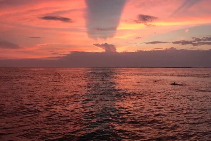 Destin Harbor Sunset Dolphin and Holiday Lights Cruise: Evening Catamaran Guide photo 6