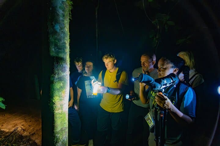 Twilight Hanging Bridges Walk at Arenal Volcano — Sunset Wildlife Tour in La Fortuna photo 4