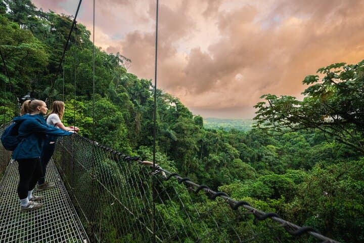 Twilight Hanging Bridges Walk at Arenal Volcano — Sunset Wildlife Tour in La Fortuna photo 2