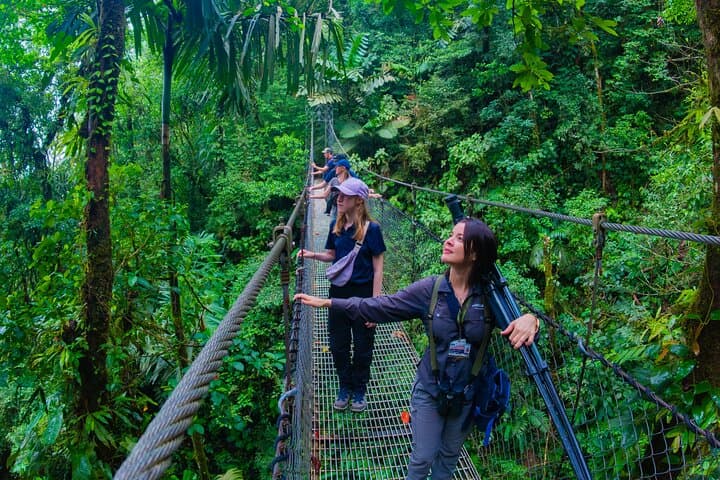 Mistico Park Hanging Bridges Birdwatching Tour — La Fortuna Guide photo 2