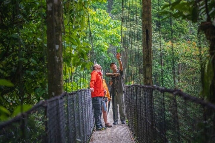 Mistico Park Hanging Bridges Birdwatching Tour — La Fortuna Guide photo 3