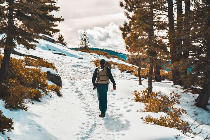 Yosemite in Winter: 2-Day Valley Tour from San Francisco photo 3